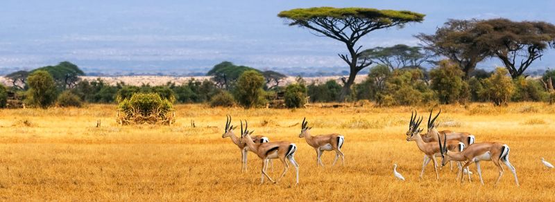 Ruma National Park