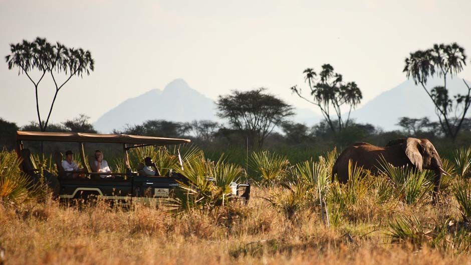 Meru National Park