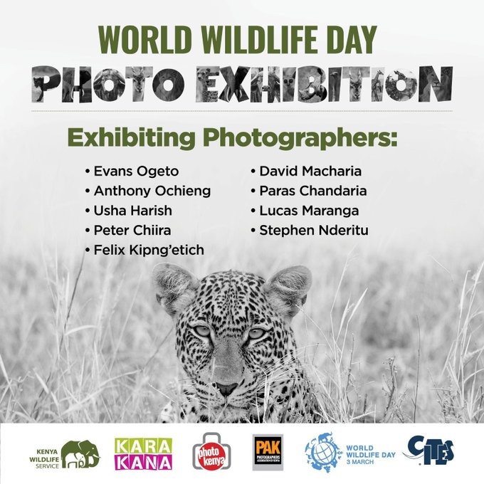 World Wildlife Day Photo Exhibition