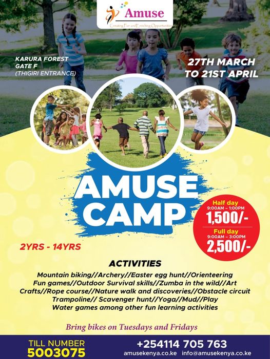 Amuse Camp